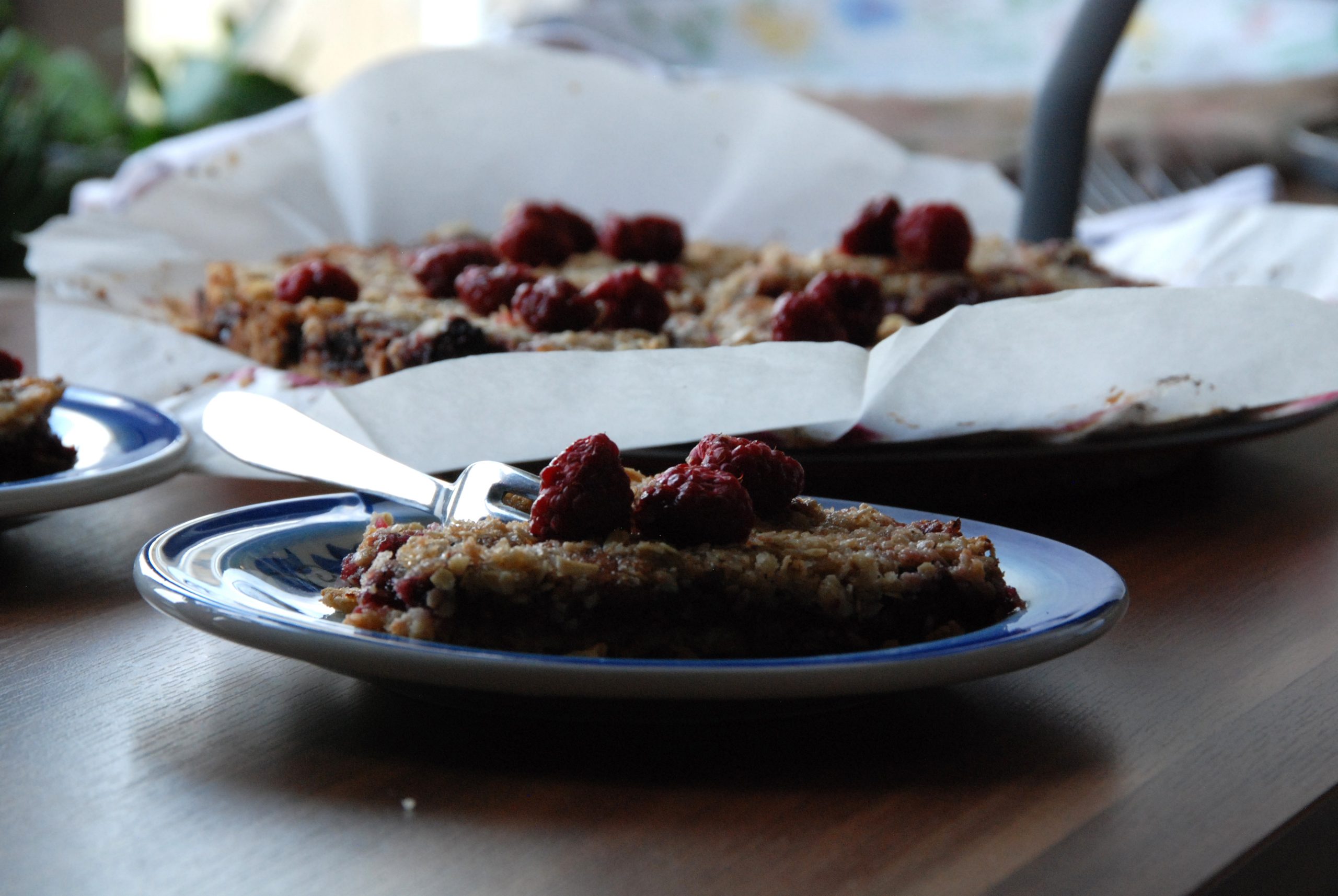 Ovsene pločice sa malinama